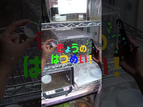 レプボスライダー #今日の発明 #prusa