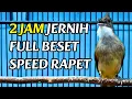 Download Lagu ⚪ FULL 2 JAM NON STOP‼️ SUARA CUCAK JENGGOT GACOR MATERI MEWAH FULL BESET SPEED RAPET #cucakjenggot