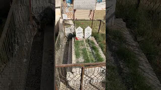 Ghazala Javed Singer And Actress Grave 