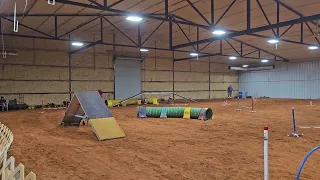                 دندنها