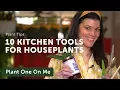 10 Kitchen Utensils That Make Great Houseplant Tools — Ep 168