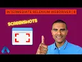 How to take a screenshot using Selenium WebDriver Java Example