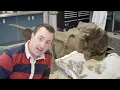 The Journey of a Fossil Part 1 The Laboratory