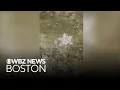 Lagu Stunning dendrite snowflakes seen on video in Maine