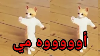 اغنية باسم مي سطلانة السعودية تركيا الامارات العراق قطر مسقط البحرين الكويت الجزائر دبي الرياض جده 