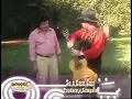 Download Lagu Se a Casa Cair ● Teodoro \u0026 Sampaio ● Clipe