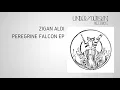 Zigan Aldi - Seems To Be [UYSR054]