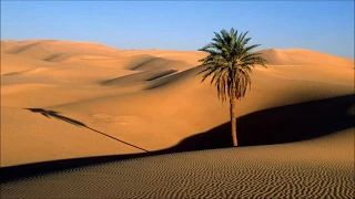 naamane hafla moroccan vibe mix 