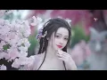 Download Lagu My Love Đừng Để Tình Yêu Phai Tàn   Chu Lâm Phong  Hot Douyin