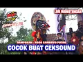Download Lagu SHAFIRA AUDIO | Rampak Barong Jaranan ROGO SAMBOYO PUTRO Live Wonotengah Purwoasri 2024