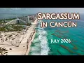 Cancun Sargassum Update July 2026 Hotel Zone Beaches Right Now Drone 4K