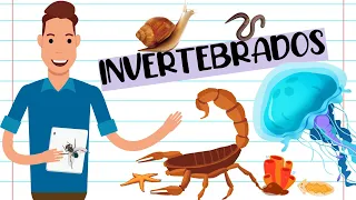 RESUMO - ANIMAIS INVERTEBRADOS