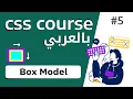 box model border - margin