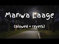Lagu New Manwa Laage song || slowed + reverb song || lofi song