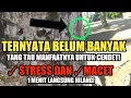 Lagu TERAPI UNTUK BURUNG CENDET ✓STRESS DAN ✓MACET BUNYI AGAR GACOR KEMBALI ‼️