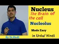 L-15 Detail concept of Nucleus and Nucleolus in Urdu Hindi by Dr Hadi