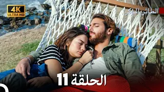 مسلسل الطائر المبكر الحلقة 11 4K Arabic Dubbed 
