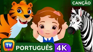 Vamos Todos À Floresta | Canções Infantis em Português | ChuChu TV #ChuChuTV100M