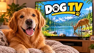 Deep Sleep Music for Dogs 🐶🌙 Peaceful Night