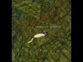 Druid Solos Undertow Kedge Keep Project 1999 EverQuest