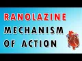 Ranolazine Mechanism and Side Effects