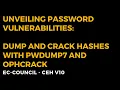 Unveiling Password Vulnerabilities Dump and Crack Hashes with pwdump7 and Ophcrack
