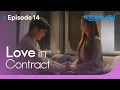 Lagu Love in Contract - EP14 | Could You Stay with Me Tonight? | Korean Drama