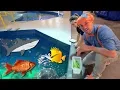 Lagu Blippi Visits The Aquarium | Educational Fish and Animals for Kids and Toddlers