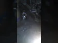 Download Lagu Kenapan dengan kucing itu ya \u0026  indahnya mata kucing d malam hari saksikan