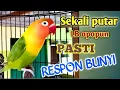 Download Lagu SEKALI PUTAR LB apapun PASTI RESPON bunyi ; Fighter , Ngetik lanjut ngekek