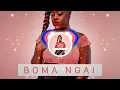 Download Lagu Boma Ngai - Dj Shark Ft Salima Chica