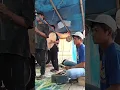 Download Lagu kuda Renggong, Musik Tanji trending#feedshorts #trending #videoviral #kudarenggong