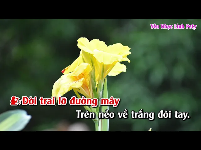 Phiên Khúc Chiều Mưa