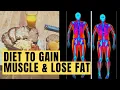 BEST Diet For Muscle Gain Losing Fat FREE MACRO CALCULATOR PDF