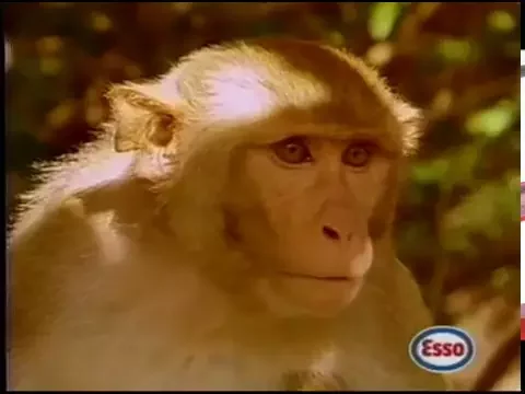 Pub "ESSO" L' Intégrale - YouTube thumbnail