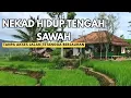 Download Lagu Nekad hidup di tengah sawah.Tanpa akses hanya jalan pematang sawah,Tapi pemandanganya luar biasa‼️