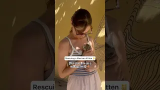Rescuing a little Mexican street kitten 🐱⛵️ #sailing #boatlife #shorts