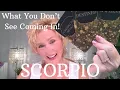 Download Lagu SCHORPIOEN LIEFDE ♏💖HET GAAT SNELLER😲 IEMAND WORDT VOOR JE VERLIEFD🤯💖 SCHORPIOEN LIEFDESTAROT💝#sc...