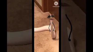 يارب صبحنا وربحنا وبين عبادك ما تفضحنا    دندنها