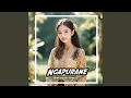 Ngapurane