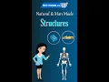 Structure Natural Structures Man Made Structures Examples of Structure Science