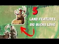 Here Are 5 Key Land Features Big Bucks Use As Travel Routes