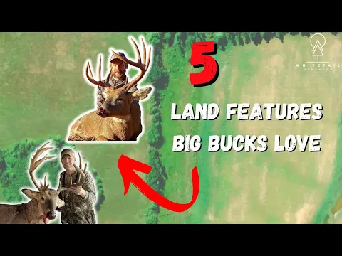 Here Are 5 Key Land Features Big Bucks Use As Travel Routes