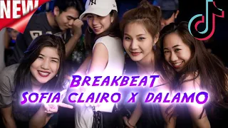 Download SOFIA - CLAIRO X DALAMO - NEW BREAKBEAT 2022 MP3