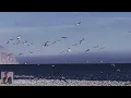Tides of Yesterday - Faiz Fauzy