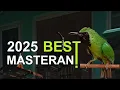 Download Lagu Cucak ijo full isian menaikan emosi dan tembakan panjang bongkar materi. Masteran Cucak ijo gacor.