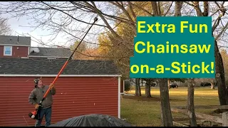 Echo PPT2620H Polesaw Review