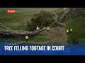 Download Lagu Court shown footage allegedly capturing felling of Sycamore Gap Tree