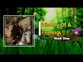 Madi Diaz - History of a Feeling  (Lyrics)