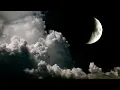 1 Hour Relaxing Sleep Music, Sleep Therapy, Deep Sleep Music, Insomnia, Spa, Study, Sleep, ☯101